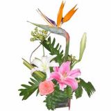 ͩʻٵ